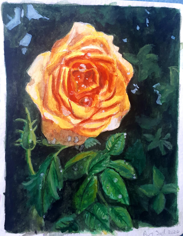 Rose study

Watercolor and goauche. 